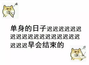 哪个生肖经历过阴关后嫩飞得梗高望得梗远？