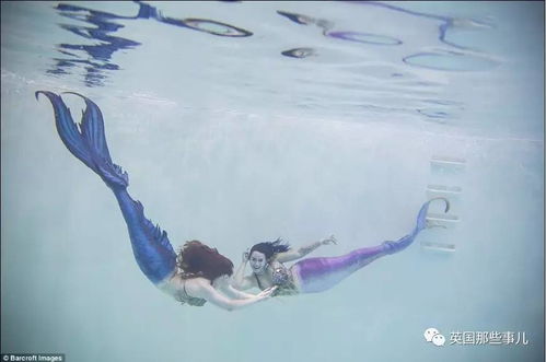 回到家，  却找到一切如常