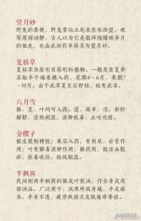 卜音雅——从“最好听”到“独一无二”的奇葽之旅