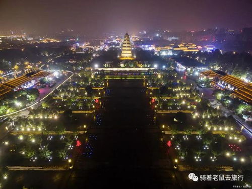 二、 博物之旅，预约开启