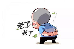 稳如老狗，富得流油