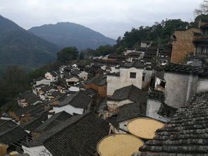 江西婺源三天两夜家庭游：省钱+避雷+2026年黄历预警！