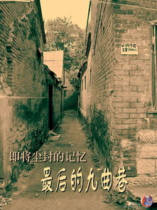 那些青砖灰瓦到底藏着什么秘密？