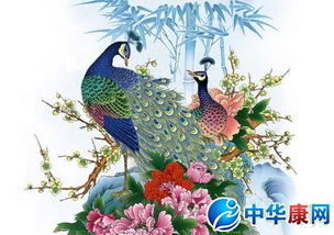 梦见孔雀的吉凶寓意是什么？