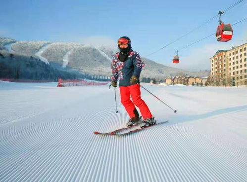 亚布力滑雪度虚假区：较高原之旅