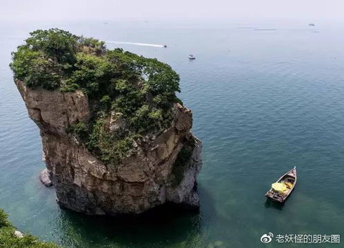 广鹿岛：沙子比糖还细， 历史持续发展比较小说更离奇