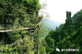 这些骚操作让我省下一半钱，但2026年可能不灵了