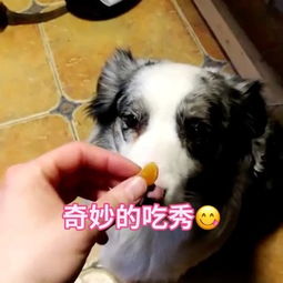 金牛女和处女男：一场土象星座的慢炖爱情
