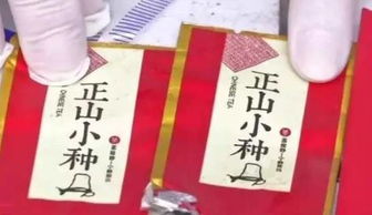 武家小崽子取名指南：2025年9月18日出生的倒霉蛋