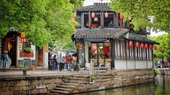 2026年最新逃票神技！黄包车师傅都不告诉你的秘密！