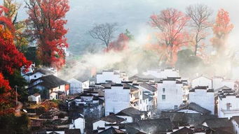 逃离广州的湿气，去婺源找罪受？不是找乐子！