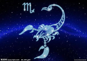 天蝎座：神秘莫测的暗夜精灵