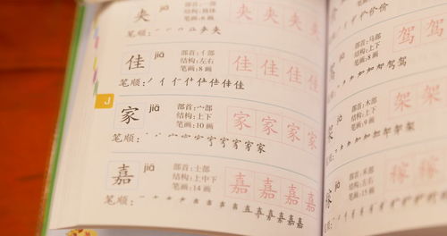 音韵之美：封姓的独特魅力与命名之道