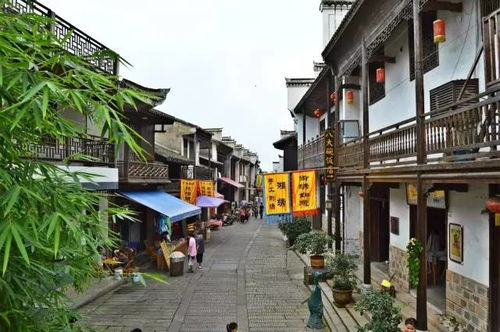 这里的空气有点甜
