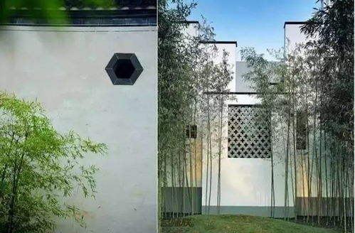 小院玻璃门,小院玻璃门