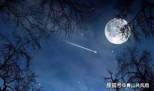 爱情观：懒散又矫情 不懂体贴还挑剔