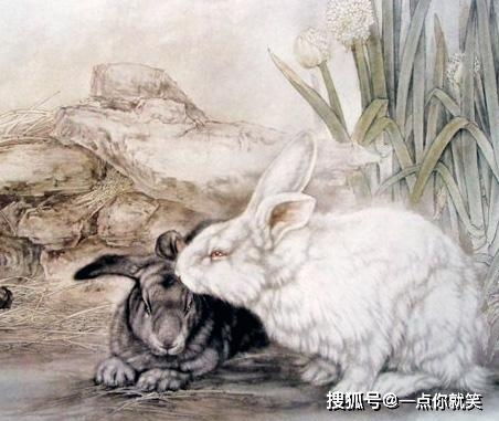 啊呀！兔子们要倒大霉啦？12月运势炸裂预警