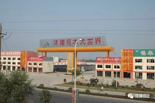 第一站：沭阳汽车站的杂乱时刻
