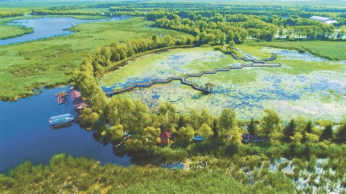 优惠券？这分明是宰客许可证！