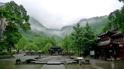 青城后山，不仅仅是避暑