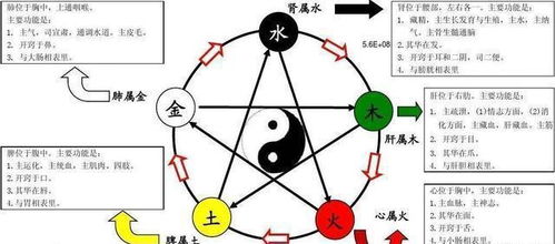 五行中东南西北各属何元素？