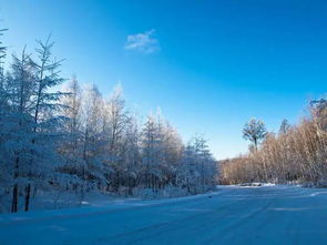 滑雪乐园：释放激情与活力