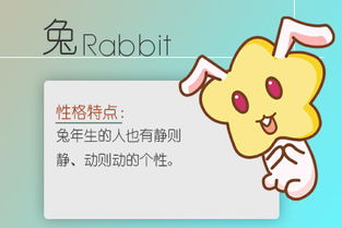 属兔男生在恋爱中会大方为女友花钱，但不会过度索取对方付出吗？