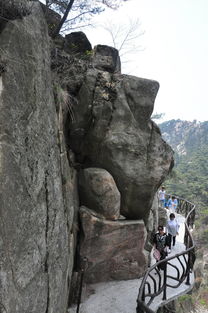 1. 龟蒙景区