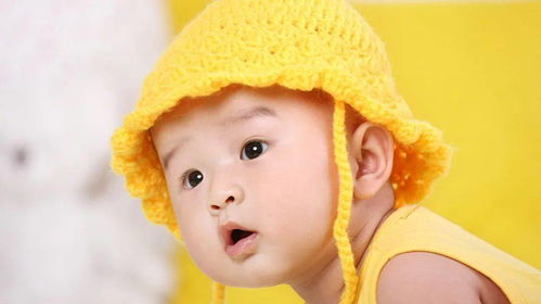 舒姓2026年鼠宝宝霸气男孩名字，有没有什么好建议？