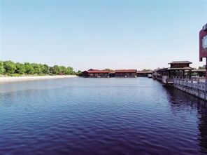 漫步湖畔 ，水乡风情