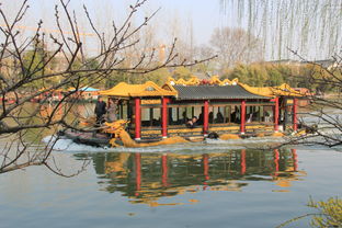 温泉？大虹桥？还是其他的什么鬼东西