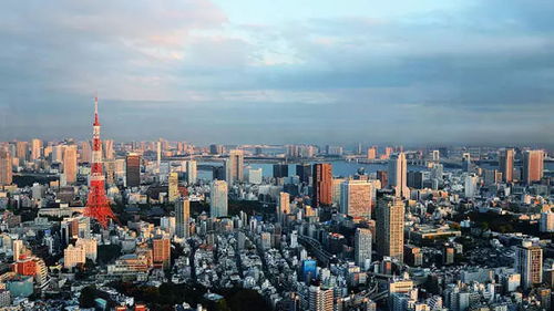 4. 热门目的地的热度攀升