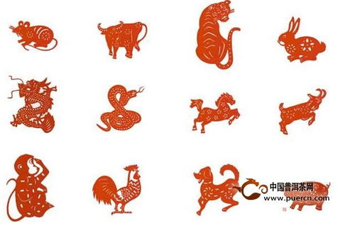 十二生肖：中国独有文化爆款