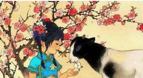 老年登科生肖和秀才生肖分别是什么？