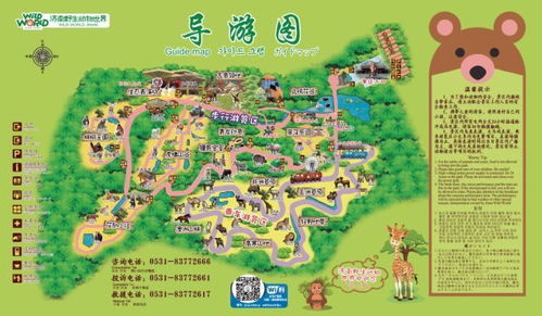 跟着导游叔叔一起探索动物王国