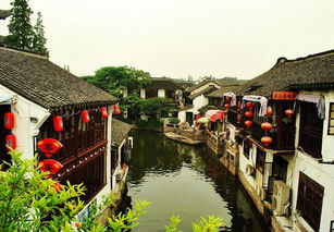 亲子研学，寓教于乐的旅程，孩子哭了怎么办？