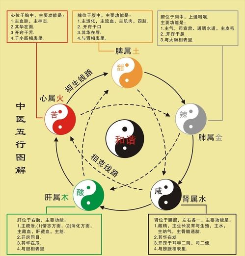阴阳五行坑人实录