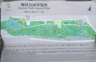 门票种类及市场价格
