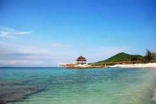 三亚：在椰子树下面啃芒果