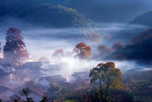 第二天：篁岭与江湾——油菜花的海洋（和人海）