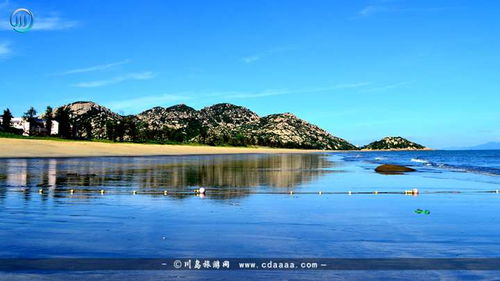 交通篇：比春运还刺激的死亡之旅