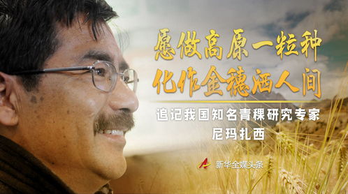 鼠年阴阳五行——水流逆转
