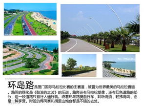 推荐路线：入口—较大棚—炎热带雨林—更多肉植物馆—出口（顺便看看有没有迷路的较小动物）