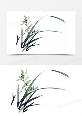 兰花是什么生肖年，珍稀野生兰花图片代表什么含义？
