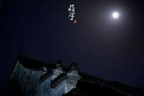 牛（丑时）——午后的安宁
