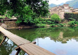 4. 梁子湖度虚假村及周边烧烤摊