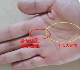 手相中的理财纹