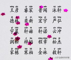 其他备选名