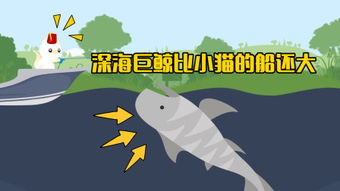 夜幕降临