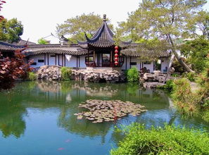 9. 乌镇 (强调)